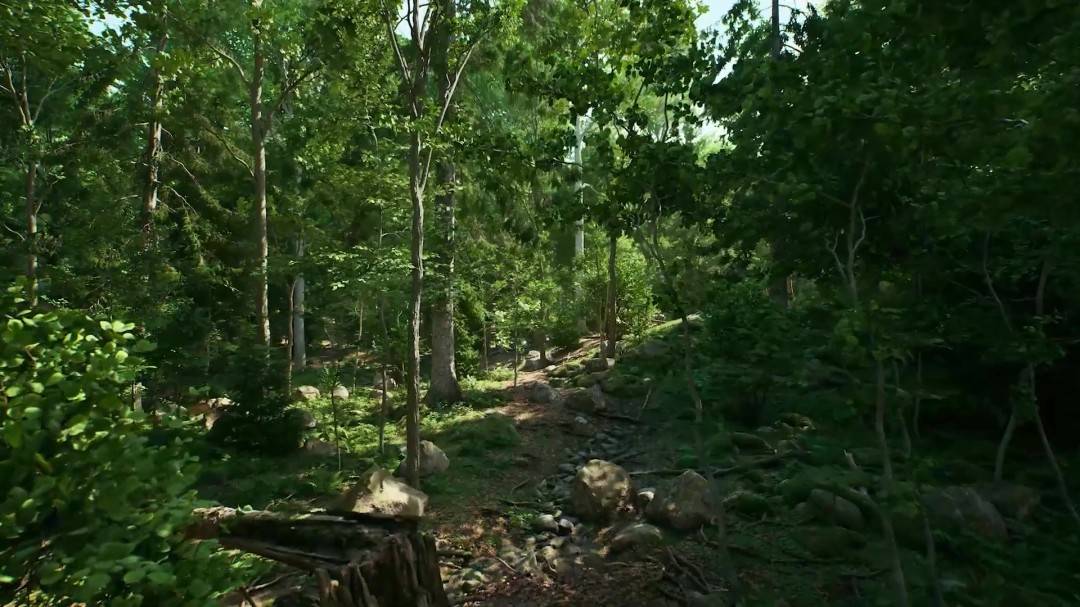 1762998393_212589_jpg_r