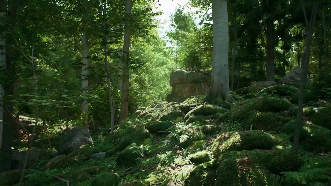 1762998393_727656_jpg_r