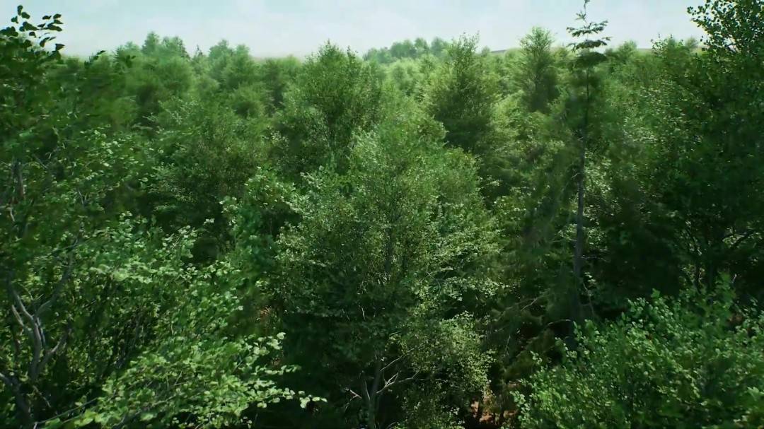 1762998395_260797_jpg_r