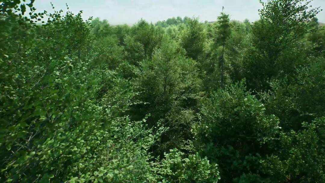 1762998395_367948_jpg_r