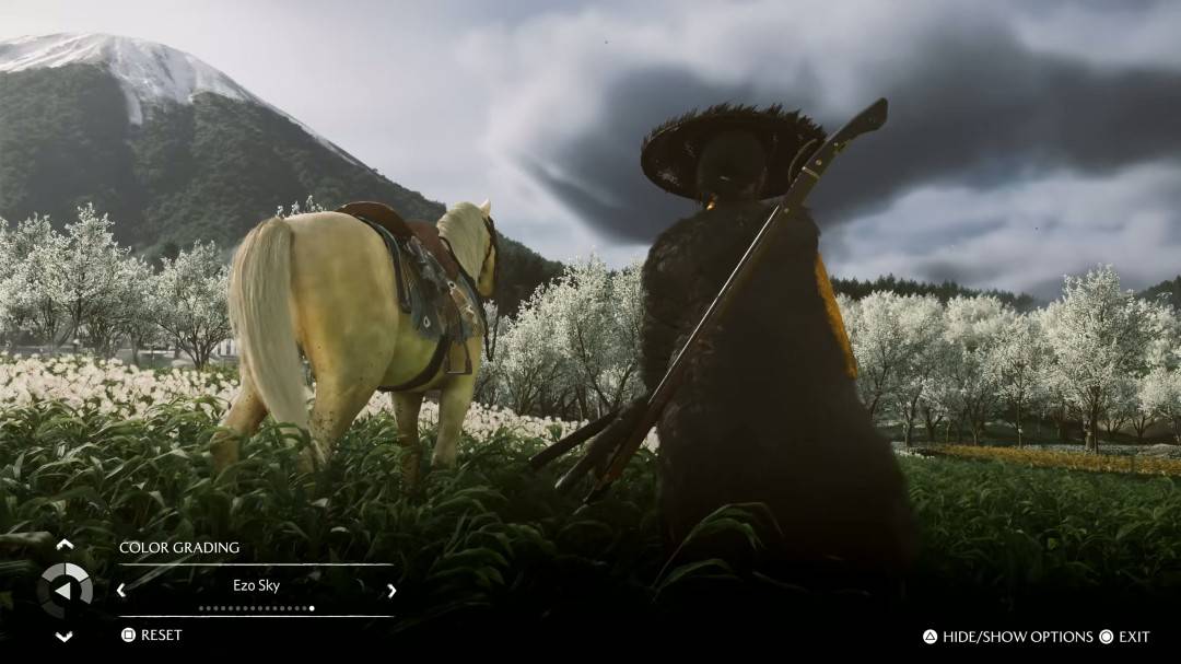 1763599366_410309_jpg_r