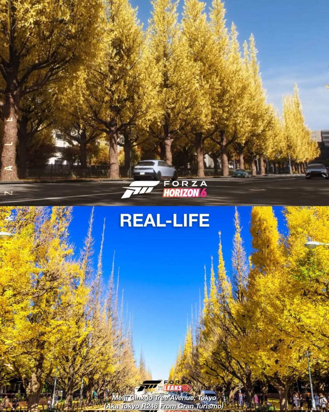 1769498642_113657_jpeg_r