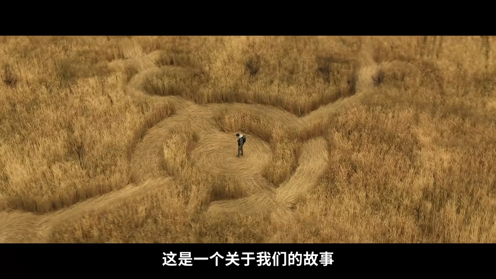 揭秘日